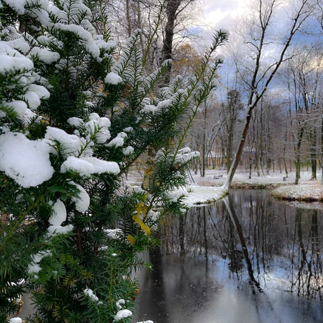 Zima 2023. Pierwszy śnieg w Rzeszowie [Park im. Szafera] - fot 6